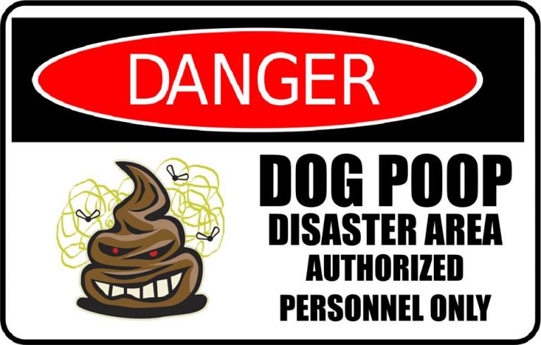 Dog Poop Disease Risks – Got Poo? Pet Waste Removal & Pet Services